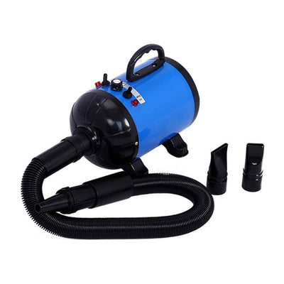 Secador para Mascotas