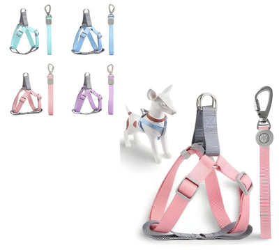 Collar/ Pechera para perros