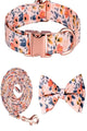 Collar para perros