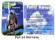 Arnes para el Aves