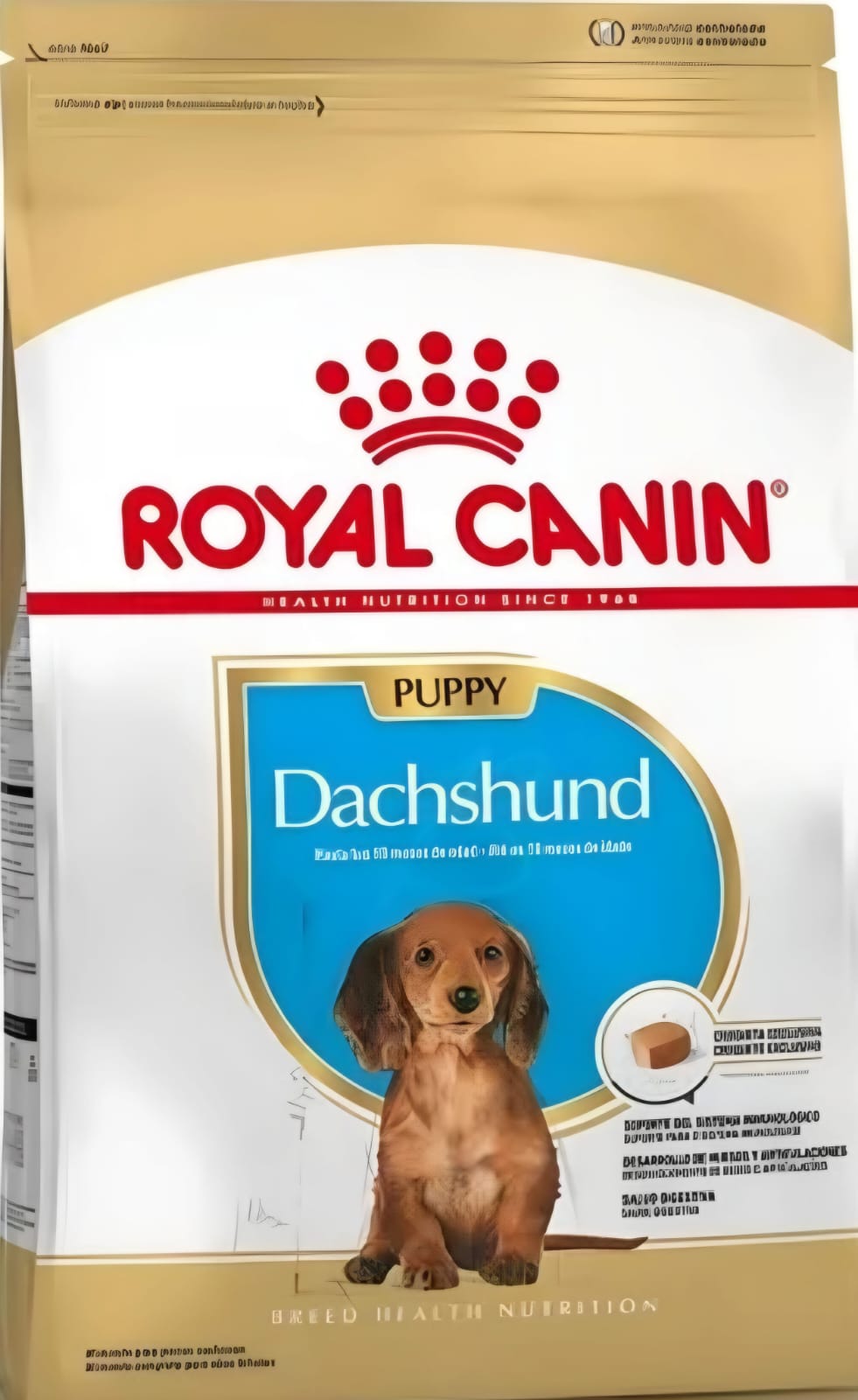 Comida de Puppy Dachshund (salchicha) Royal Casnnin