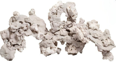 Simulacion Piedra Viva Peceras Saladas