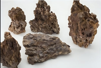 Simulacion piedra viva Agua Dulce