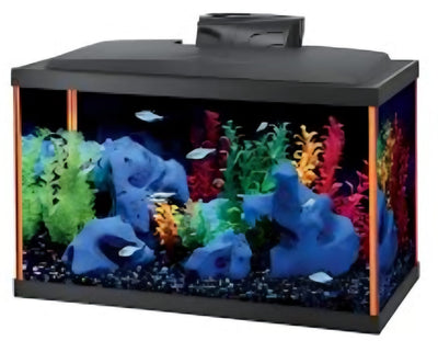 Combo Peceras Neon Glow