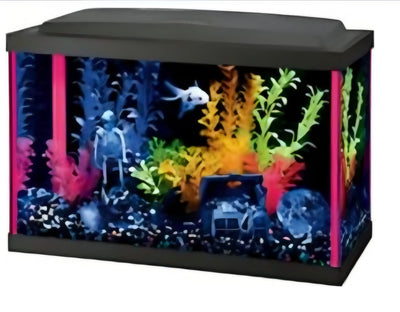 Combo Peceras Neon Glow