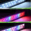 Luces Led para Peceras