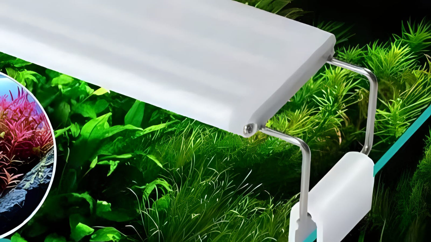 Luces Led para Peceras